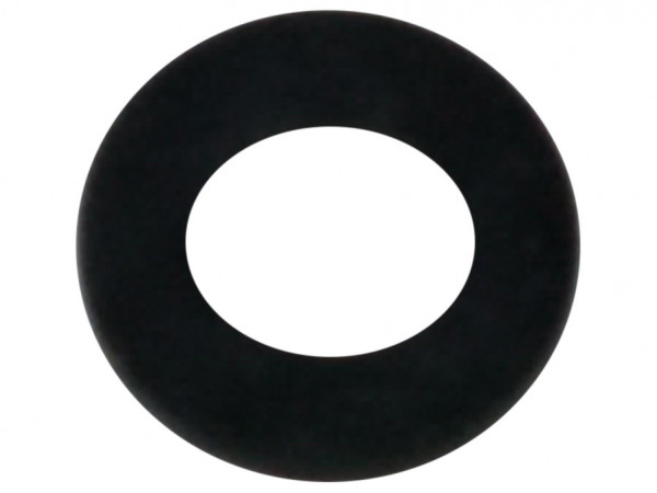 Schlauchdichtung 3/4I 541.006 541006