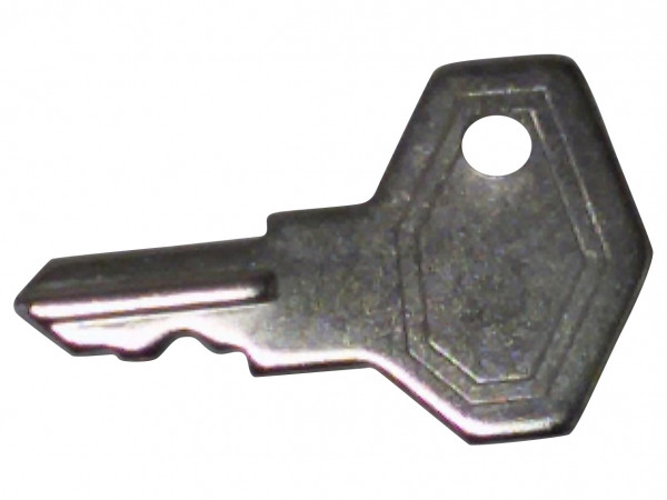 Schlüssel Gefriertruhe 4810.103.85976 481010385976