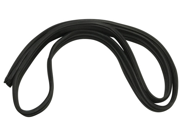 Dichtung 4812.466.68564  481246668564